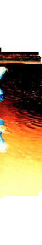 CD03